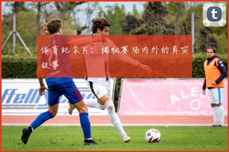 体育纪录片：揭秘赛场内外的真实故事