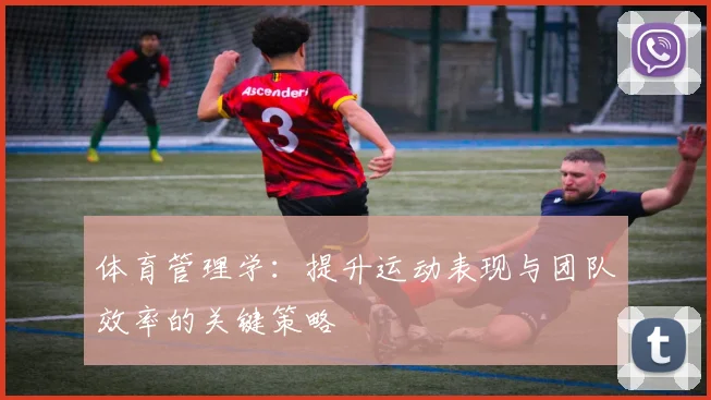 体育管理学：提升运动表现与团队效率的关键策略