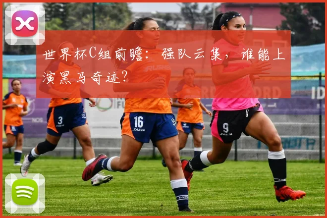 世界杯C组前瞻：强队云集，谁能上演黑马奇迹？